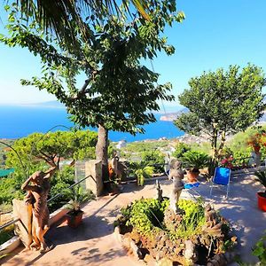 Casa Holiday